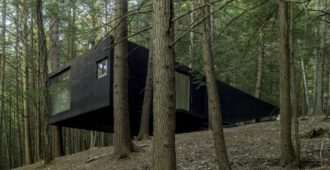 Estados Unidos: Casa entre medio de árboles - Jacobschang Architecture