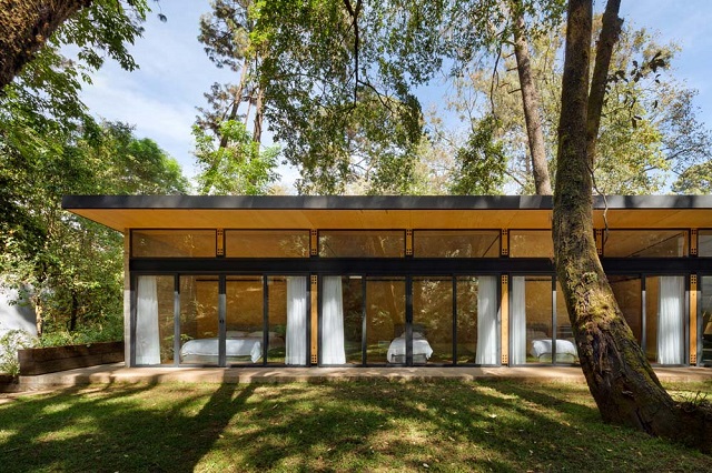 México: Casa Pinar - CF Taller de Arquitectura + Merodio Arquitectos
