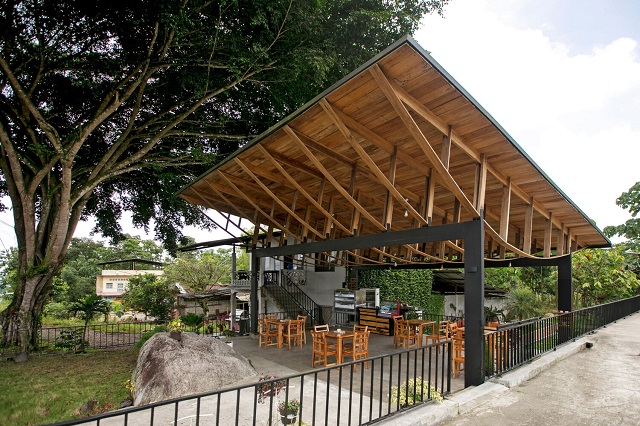 Ecuador: Plataforma de arte al aire Ficus alto – Natura Futura Arquitectura