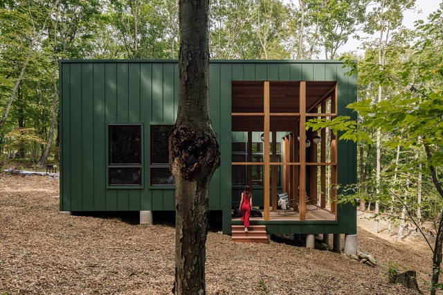 Estados Unidos: Refugio en el bosque - Scalar Architecture Team
