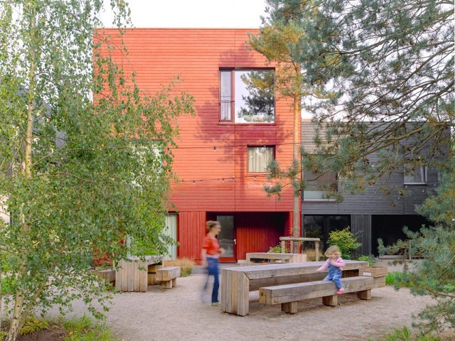 Países Bajos: Maderas Ordinarias - Espacio y Materia