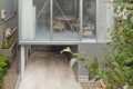 Japón: Casa Tsuchihashi, Tokio - Kazuyo Sejima & Associates