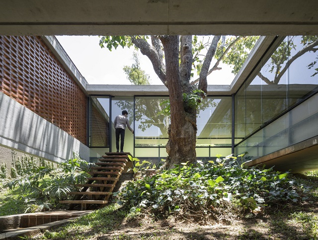 Brasil: Casa Mulungu - Mariana Meneguetti, Venta Arquitetos