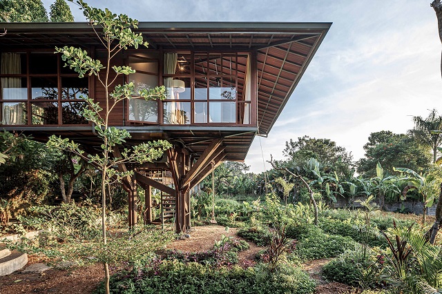 Indonesia: Casa del árbol en Ubud, Bali - Alexis Dornier / Stilt Studios 