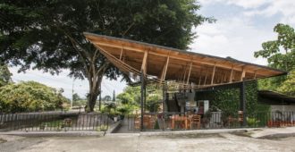 Ecuador: Plataforma de arte al aire Ficus alto – Natura Futura Arquitectura