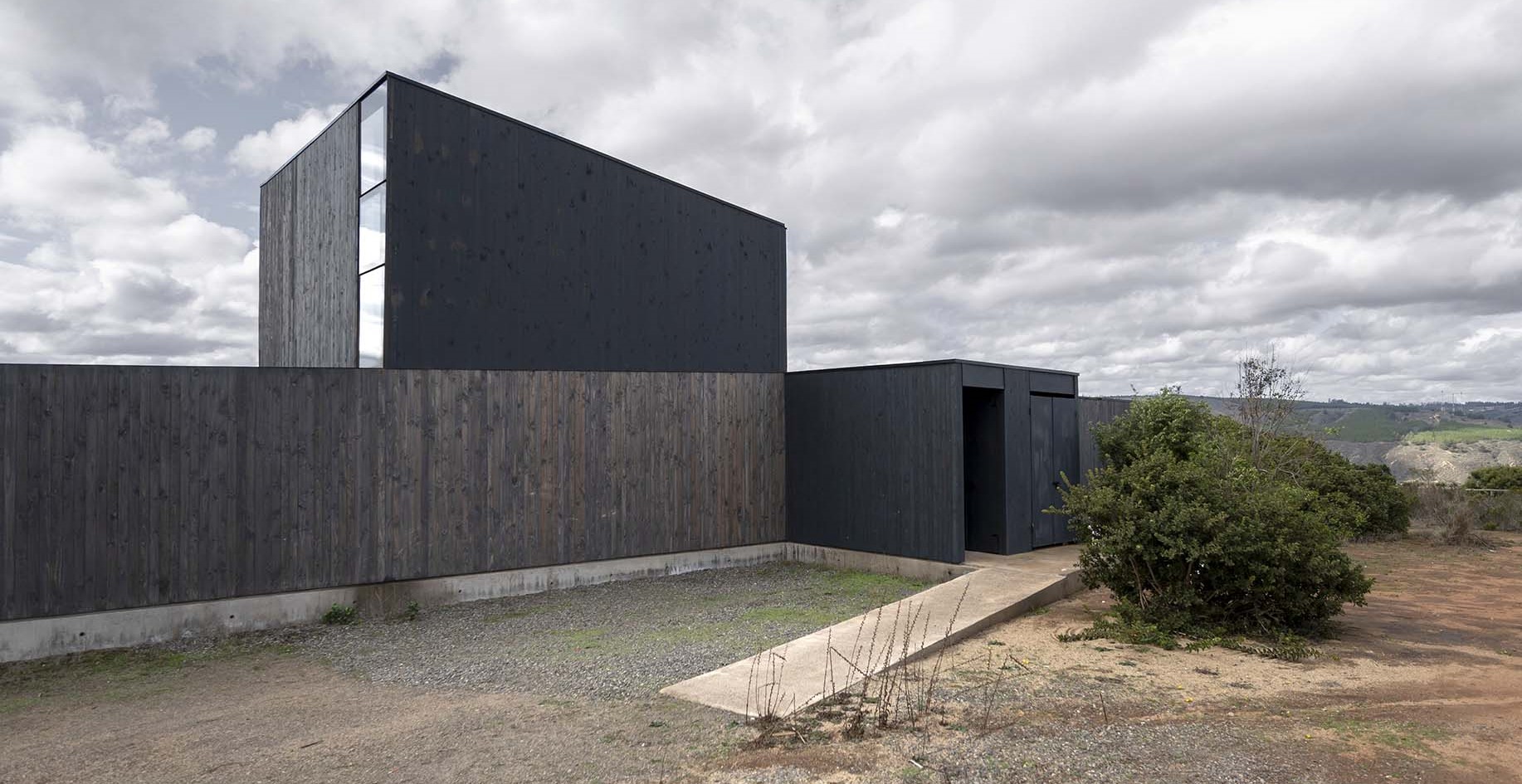 Chile: Casa Duna - Whale!