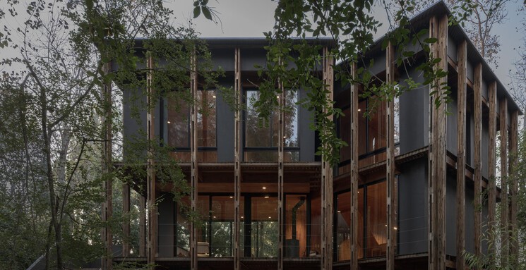 Argentina: Cabaña en el Delta de Buenos Aires, Palito Caso 5 - Matías Cosenza Arquitecto