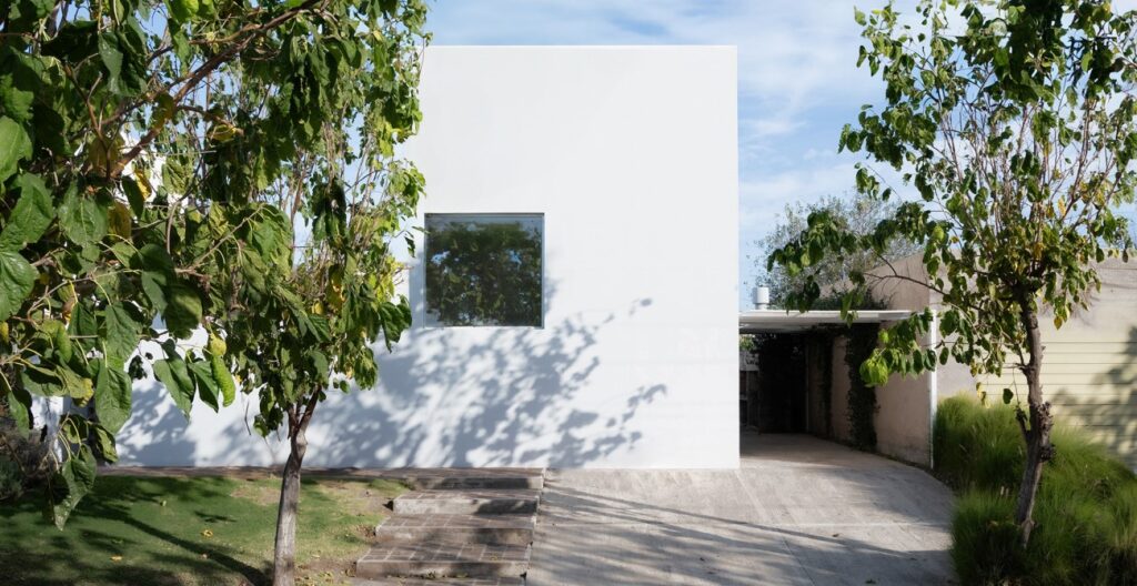Argentina: Casa para un árbol - Esteras Perrote