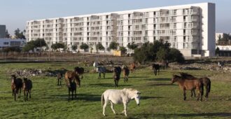 España: 125 viviendas sociales en Sevilla - Daroca Arquitectos + Práctica Arquitectura