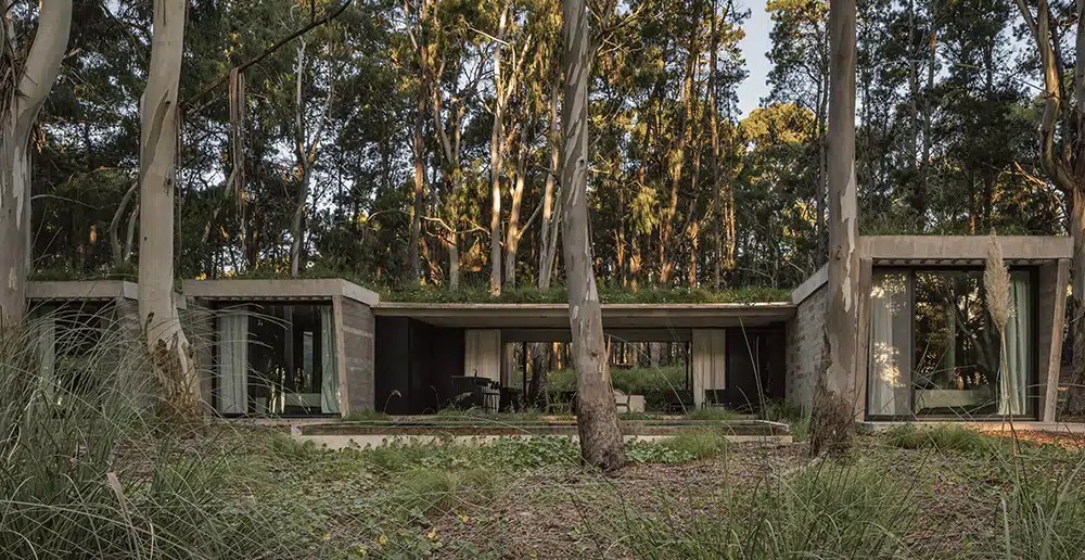 Argentina: Casa Forest - Gonzalo Bardach Arquitectura
